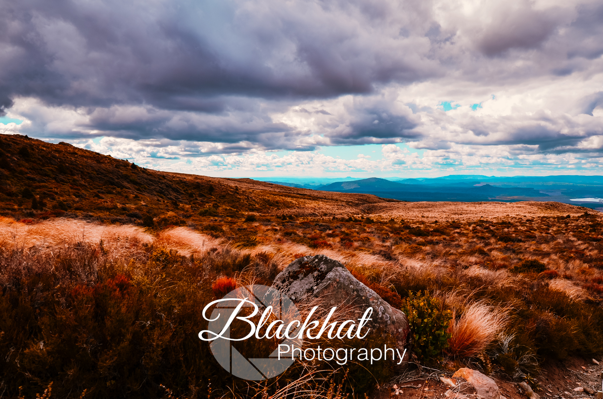 Tongariro Field