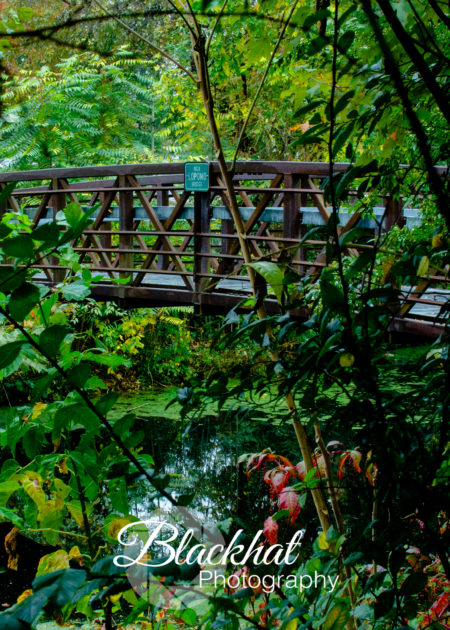 Canal Bridge